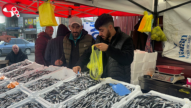 Hamsiye yoğun ilgi